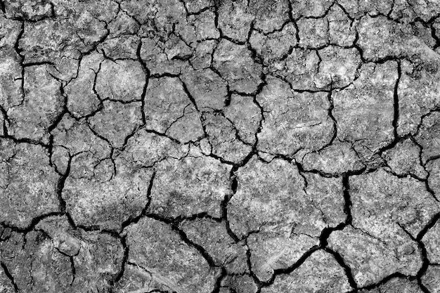 gros plan noir et blanc d'un sol fissuré et fissuré