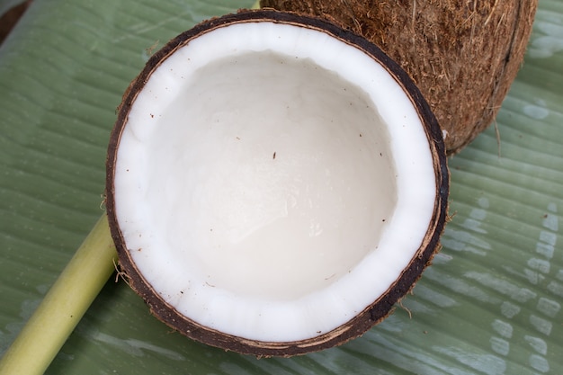 Gros plan de noix de coco sur fond vert