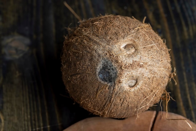 Gros plan de noix de coco mature non pelée