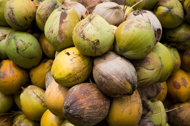 Gros plan sur la noix de coco en tas à la saison des récoltes