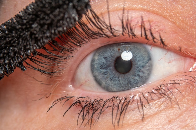 Gros plan de l'œil féminin peint les cils Macro photographie