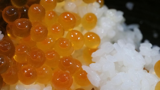 Gros plan d'œufs de saumon sashimi avec bol de riz ou donburi dans une cuisine de style japonais