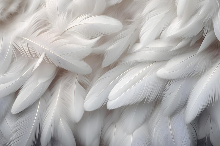Photo un gros plan d'un oiseau blanc avec des plumes blanches.