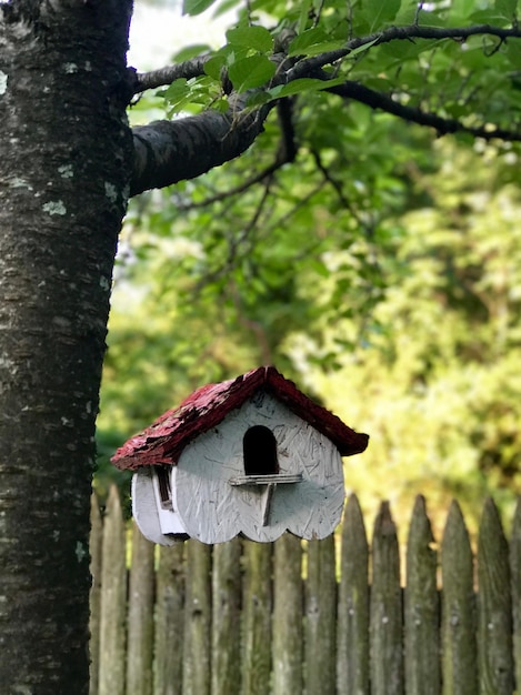 Photo un gros plan d'un oiseau sur le tronc d'un arbre