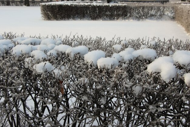 Gros plan de l'ombre de la clôture carrée sur la neige par une journée d'hiver ensoleillée