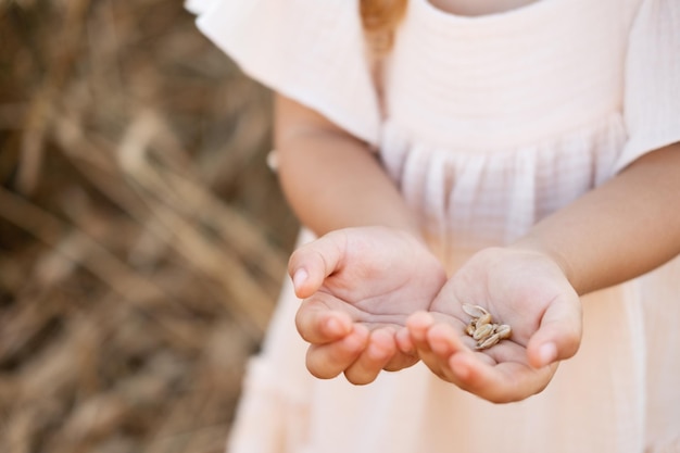 gros plan sur la paume de la main d'une petite fille avec des grains de blé