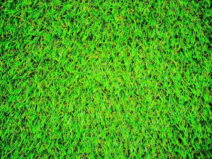 Photo gros plan de pelouse vert vif. vue d'en-haut. couleur vert acide
