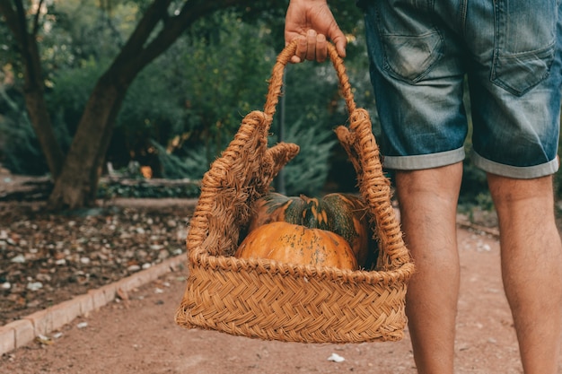 Photo un gros plan d'une personne tenant un panier avec deux citrouilles