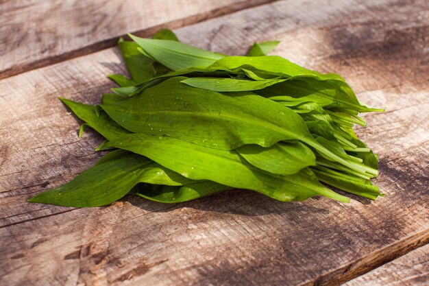 Gros plan petit bouquet d'ail sauvage ou de ramson récemment cueilli lavé placé sur une table en bois Plantes sauvages pleines de nutriments et de vitamines