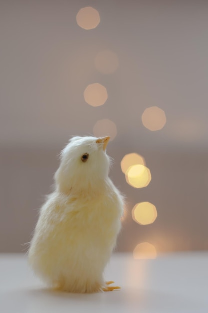 Gros plan d'une petite carte de Pâques de poulet jaune avec un espace de copie Décor de Pâques de printemps Modèle pour l'espace de copie de conception Fond d'écran ou bannière contre les lumières festives floues