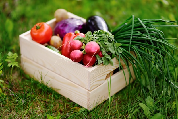 Gros plan photo d&#39;une caisse en bois avec des légumes biologiques frais de la ferme