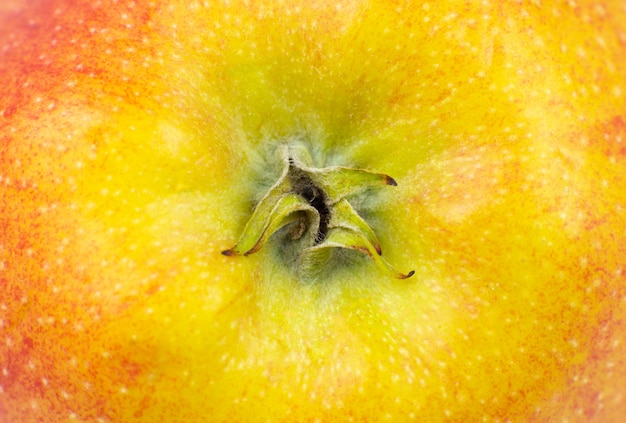 Gros plan photo de fond de pomme rouge. Texture de peau de fruit de pommes, vue macro.