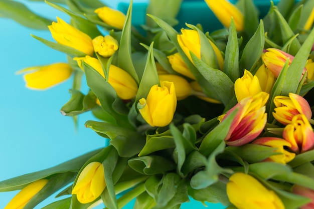 Gros plan photo de tulipes jaunes sur mur bleu