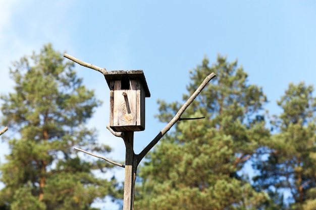 Gros plan photographié d'un nichoir en bois