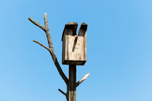 Gros plan photographié d'un nichoir en bois