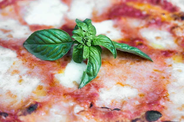 Gros plan sur une piazza italienne Margherita traditionnelle avec sauce tomate basilic et mozzarella