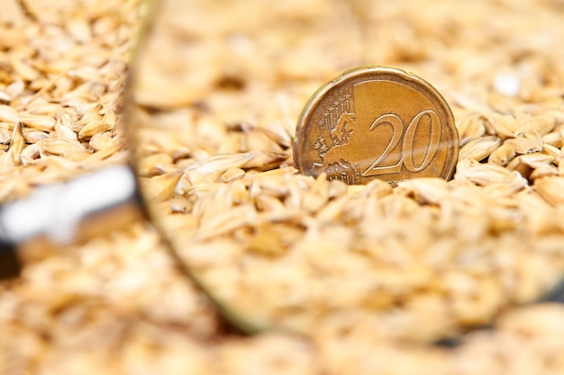 Gros plan sur une pièce en euros de vingt cents en grains d'orge à travers une loupe