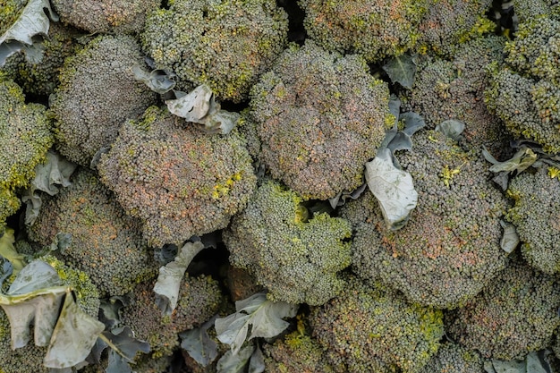 Gros plan de la pile de brocoli à vendre sur le marché.