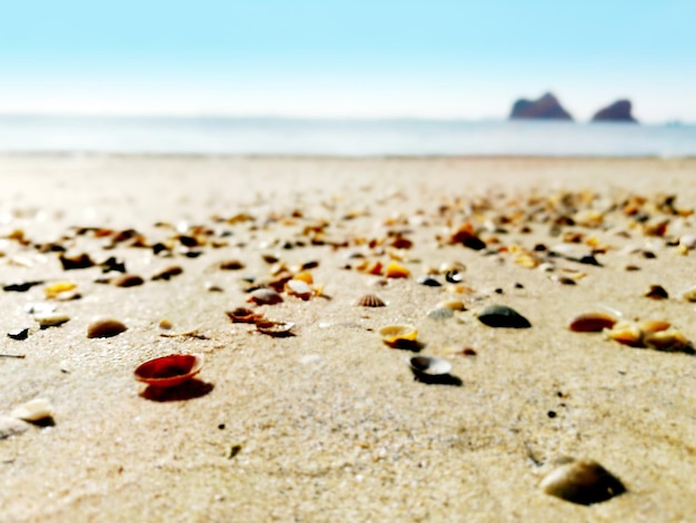 Gros plan plage de sable avec coquille sur fond flou