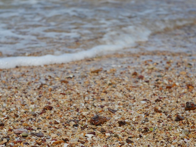 Photo un gros plan de la plage.