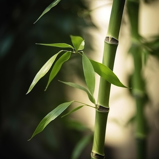 Un gros plan d'une plante de bambou avec des feuilles vertes et le numéro 2 dessus.