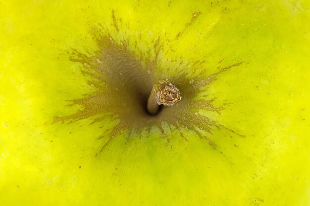 Gros Plan Pomme Verte Fraîche. Pomme En Vert.