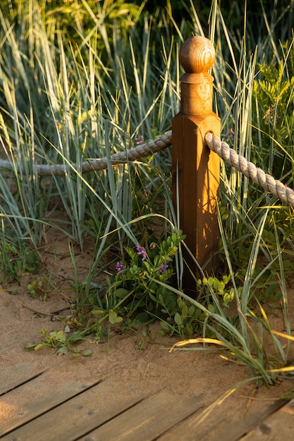 Gros plan d'un poteau en bois avec une corde sur un sentier nature le long des dunes