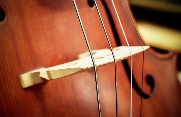 Gros plan de quatre cordes sur un violoncelle.