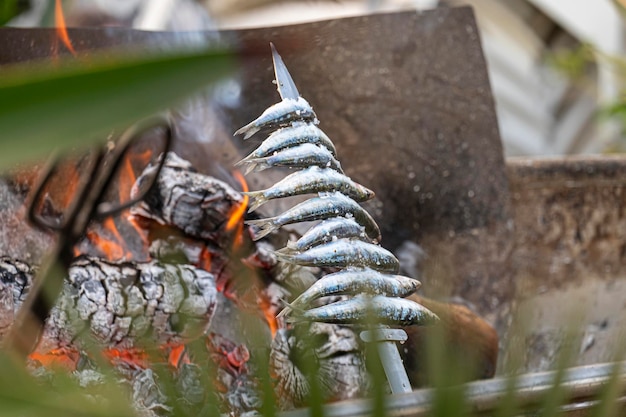 Gros plan de quelques espetos cuits au feu de bois