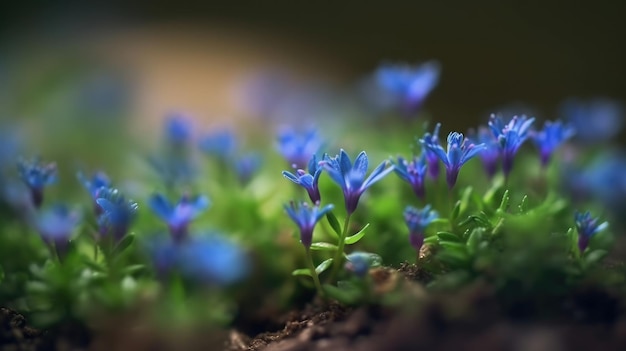 Un gros plan de quelques fleurs bleues