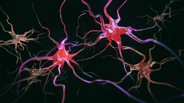 Un gros plan de quelques neurones rouges et oranges