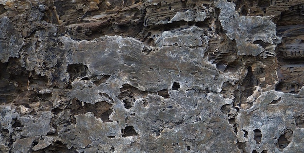 Un gros plan d'un rocher avec la texture de la roche