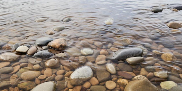 Un gros plan de rochers dans une rivière