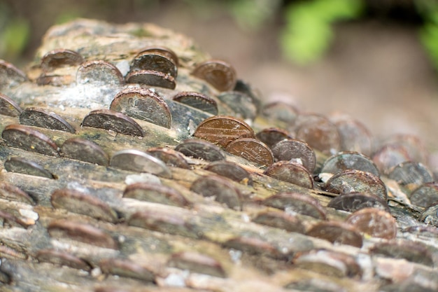 Photo un gros plan des rochers.