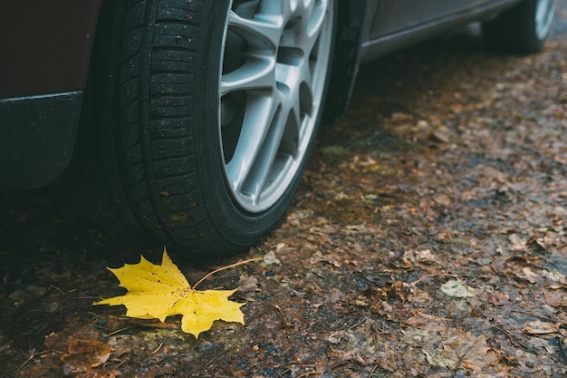 Gros plan roue et pneu sur sale route d'automne