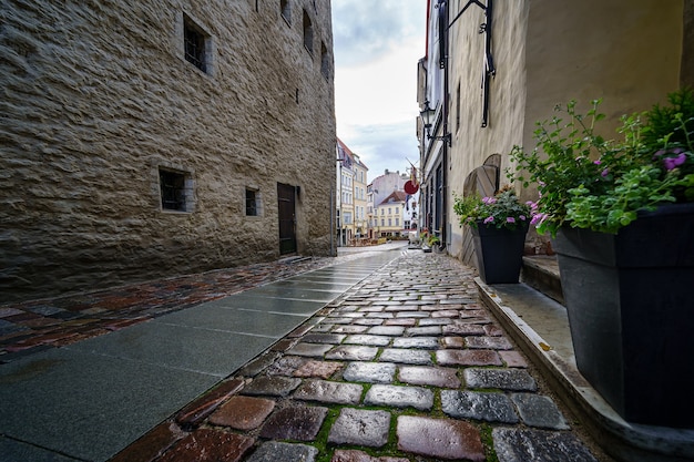 Gros plan de la rue pavée avec de vieux bâtiments après la pluie.