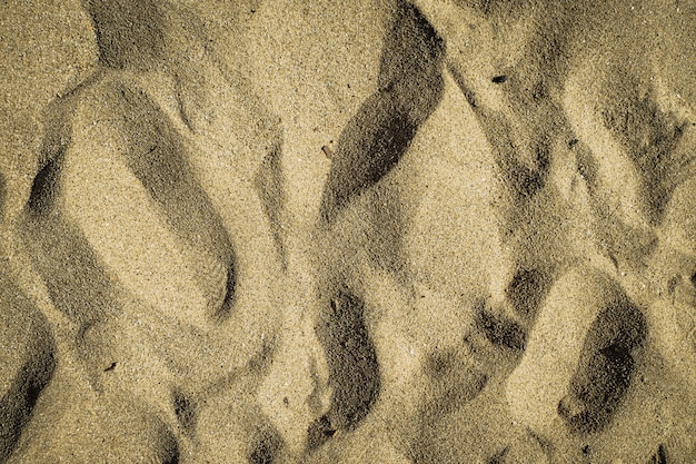 Gros plan, sable, texture, plage, fond