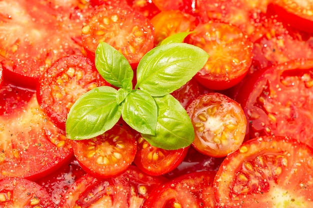 Gros plan d'une savoureuse salade de tomates avec des feuilles de basilic. un plat méditerranéen