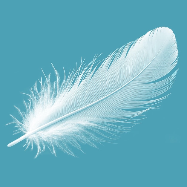 Un gros plan d'une seule plume blanche vierge sur une toile de fond bleu turquoise sereine
