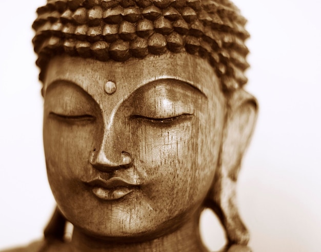 Un gros plan de la statue de Bouddha sur un fond blanc.