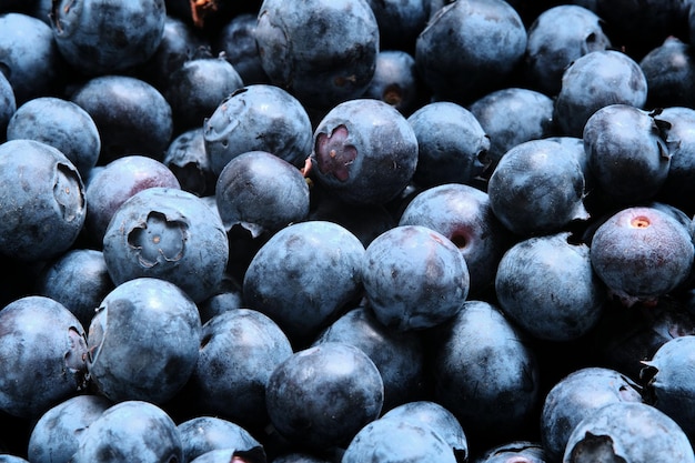 Gros plan d'un tas de bleuets mûrs frais