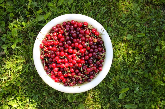 Gros plan sur un tas de cerises mûres avec des tiges et des feuilles Grande collection de cerises rouges fraîches Fond de cerises mûres