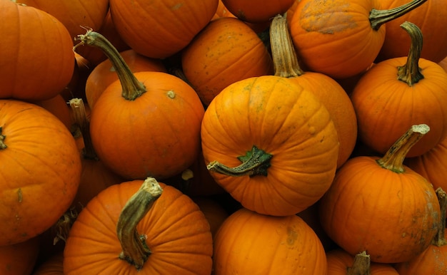 Gros plan d'un tas de citrouilles