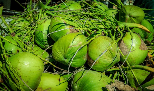 Gros plan sur un tas de noix de coco verte sur un étal de marché en plein air