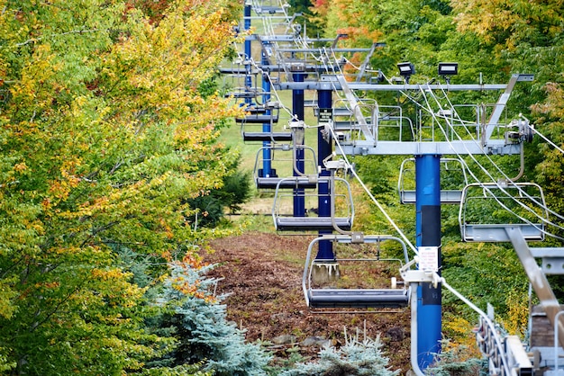 Gros plan, de, téléphérique, dans, a, forêt