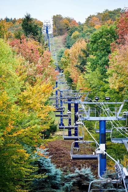 Gros plan, de, téléphérique, dans, a, forêt