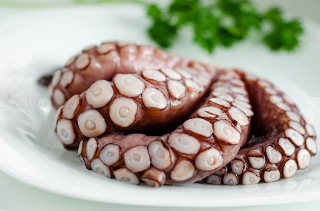 Gros plan des tentacules de poulpe cru sur plaque blanche est prêt à être cuit. Cuisine italienne.