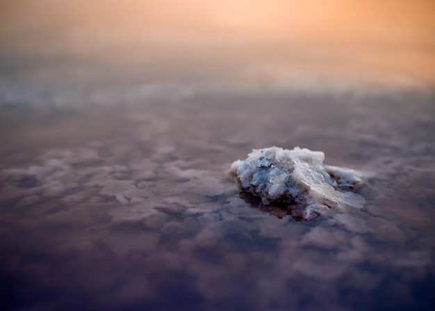 Gros plan de la texture des cristaux de sel dans l'eau