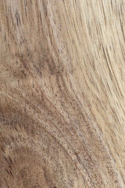 Gros plan de la texture du bois d'acacia