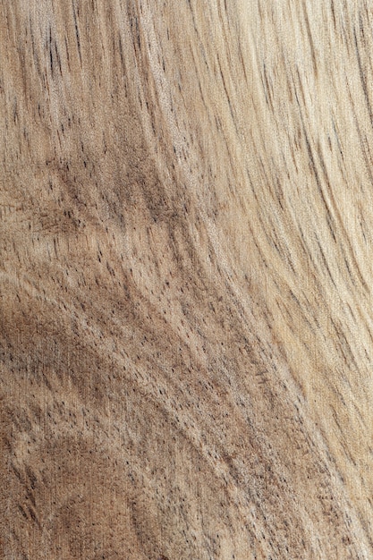 Gros Plan De La Texture Du Bois D'acacia